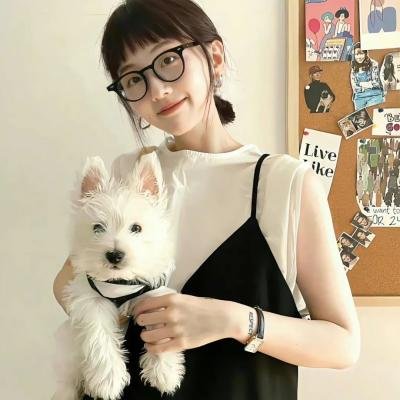 铁面战警