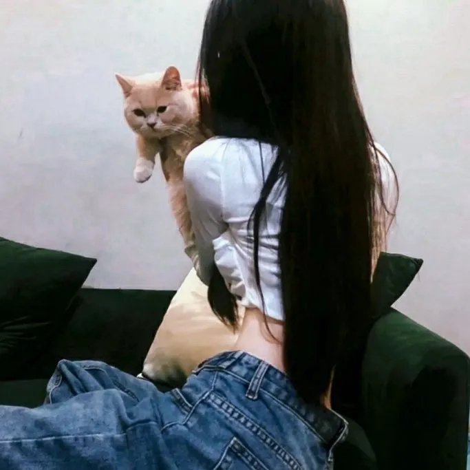 传销风云